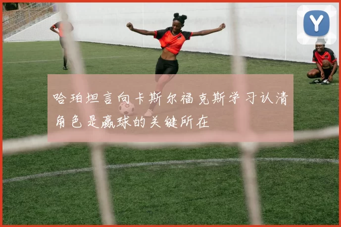 哈珀坦言向卡斯尔福克斯学习认清角色是赢球的关键所在